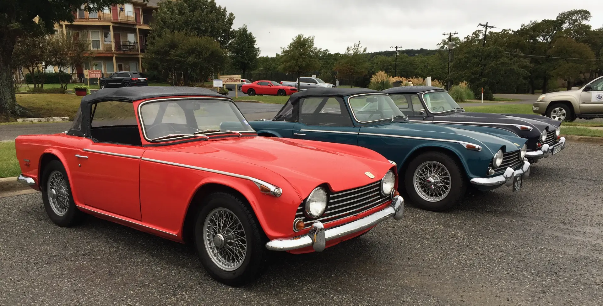 Three Triumph TR5 PI roadsters lined up at a club meet