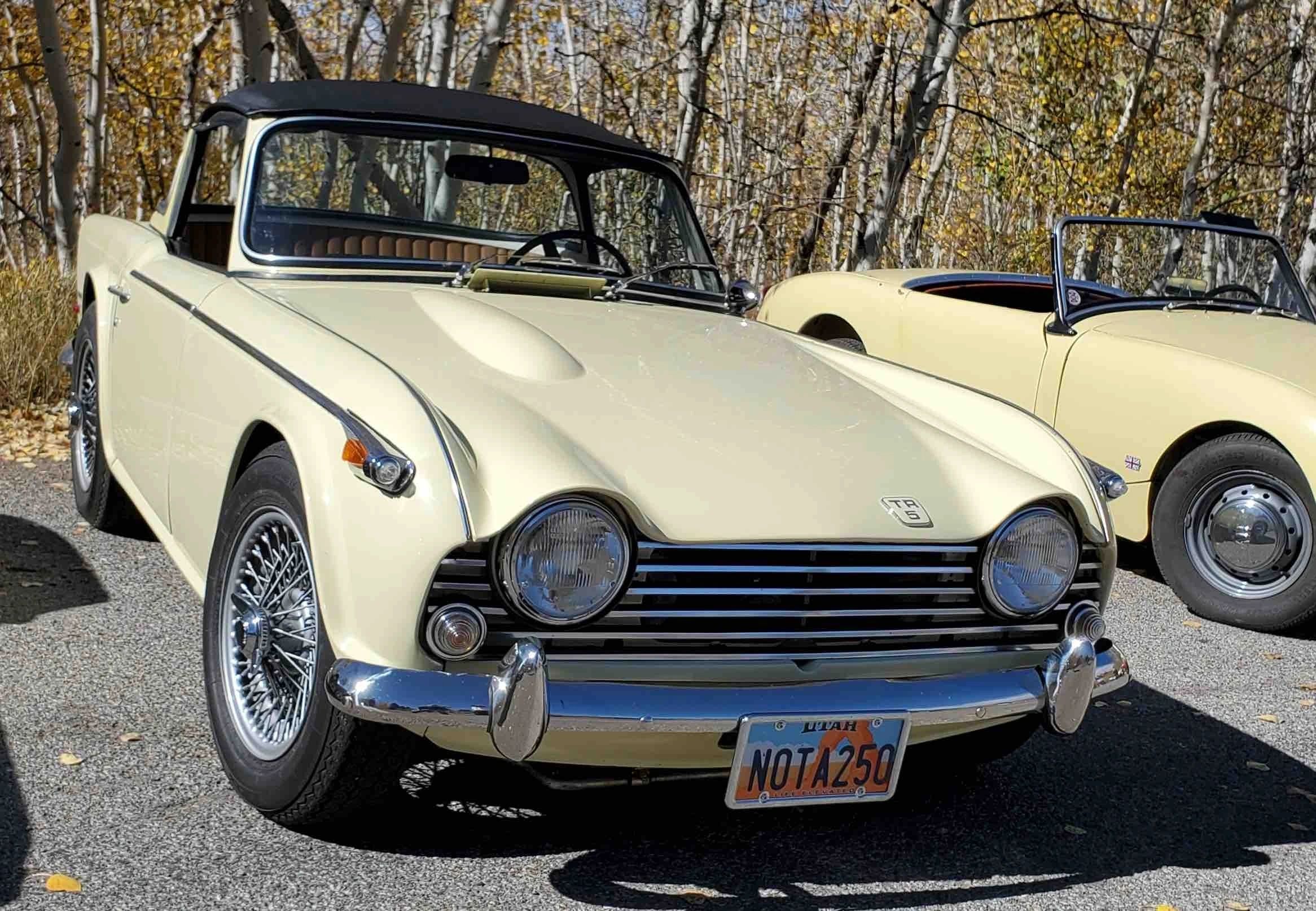 Triumph TR5 during the winter off season